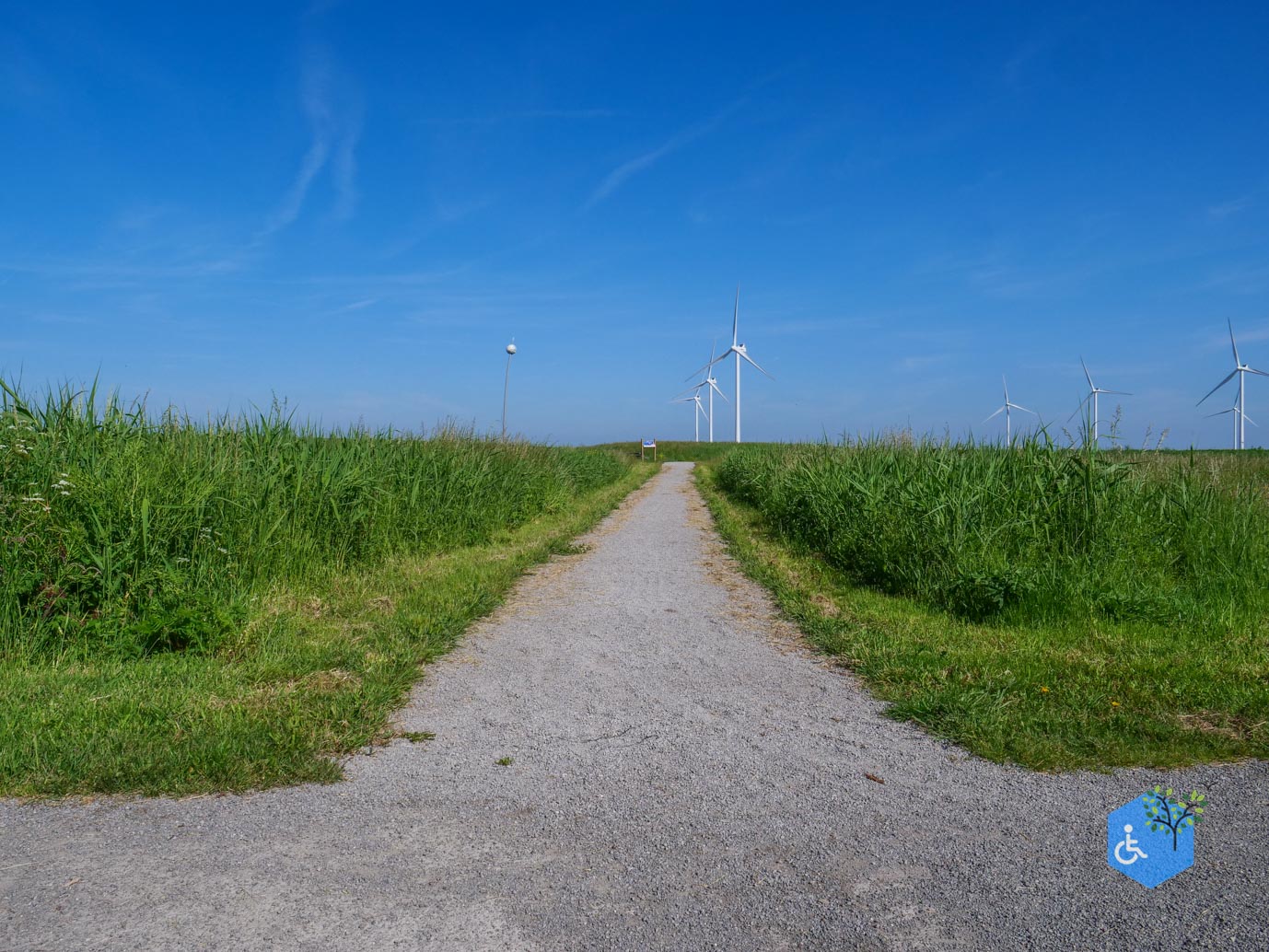 Almere_Scheepswrakkenroute_Pampushout_22-05-2026-16