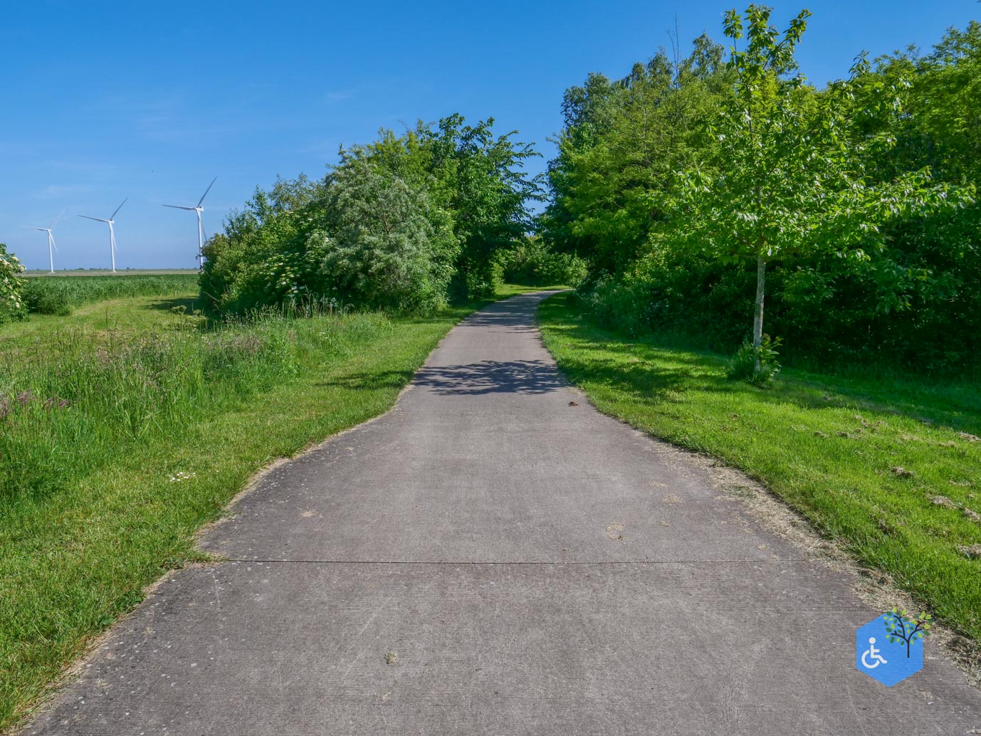Almere_Scheepswrakkenroute_Pampushout_22-05-2026-19