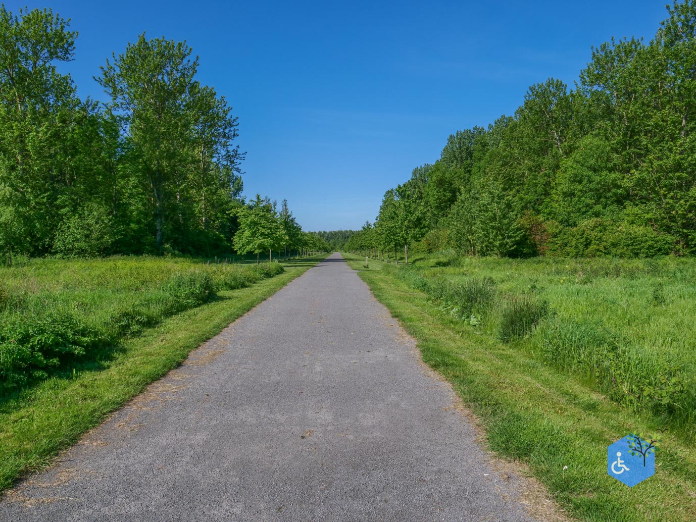 Almere_Scheepswrakkenroute_Pampushout_22-05-2026-6