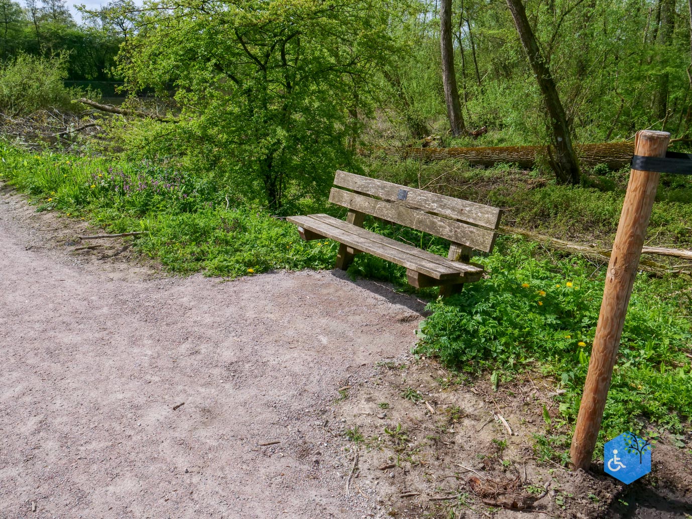 Druten_Het_Laakbos_17-04-2026-35
