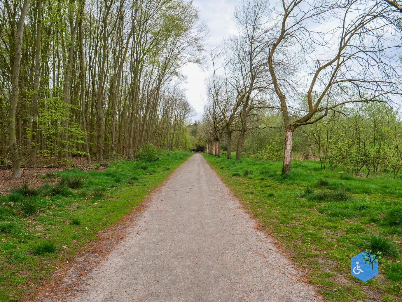 Heesch_Arboretum_Heesch_17-04-2026-11