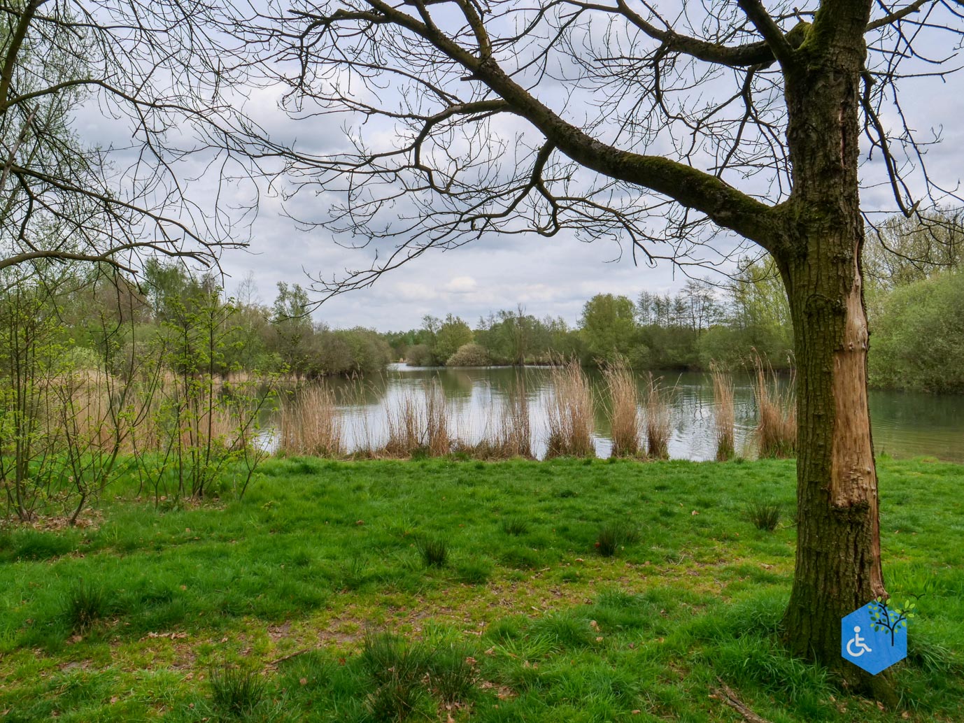 Heesch_Arboretum_Heesch_17-04-2026-12