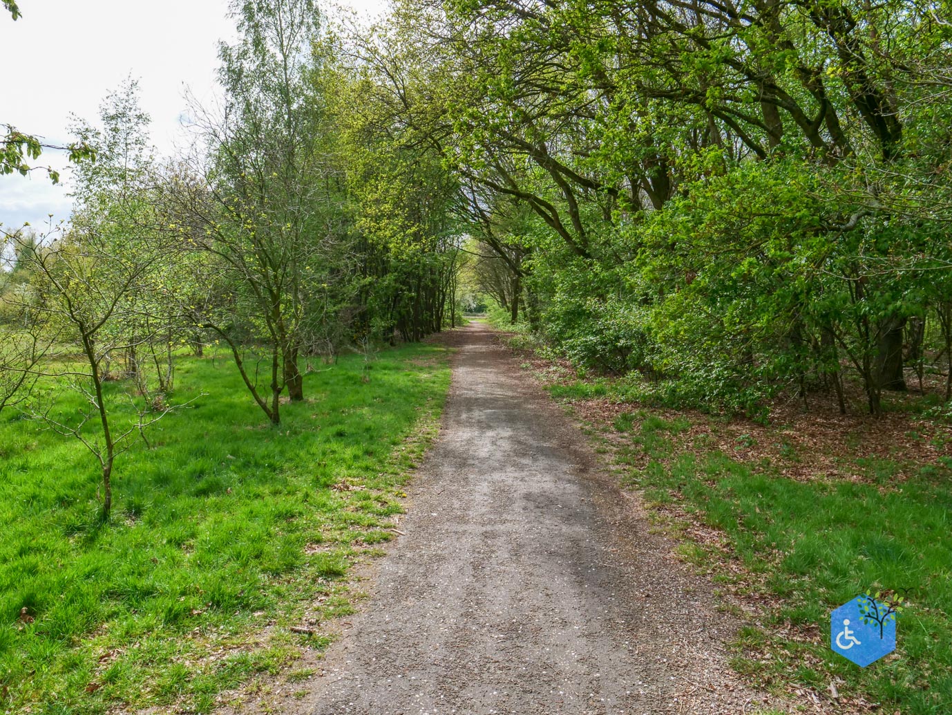 Heesch_Arboretum_Heesch_17-04-2026-23