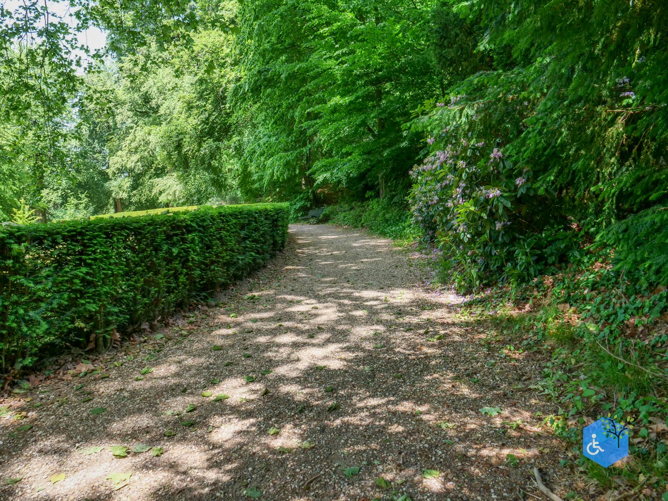 Rozendaal_Kasteelpark_Rosendael_29-05-2026-19
