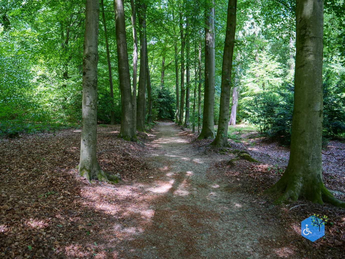 Rozendaal_Kasteelpark_Rosendael_lang_29-05-2026-82