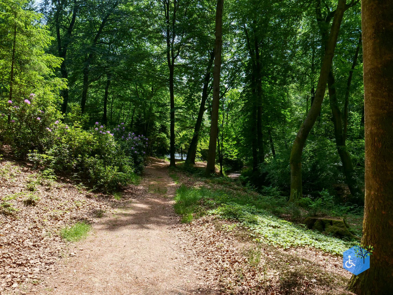 Rozendaal_Kasteelpark_Rosendael_lang_29-05-2026-86