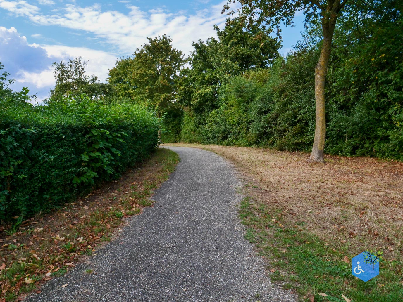 Stevensweert_Park_Meerse_Kamp_21-08-2026-16