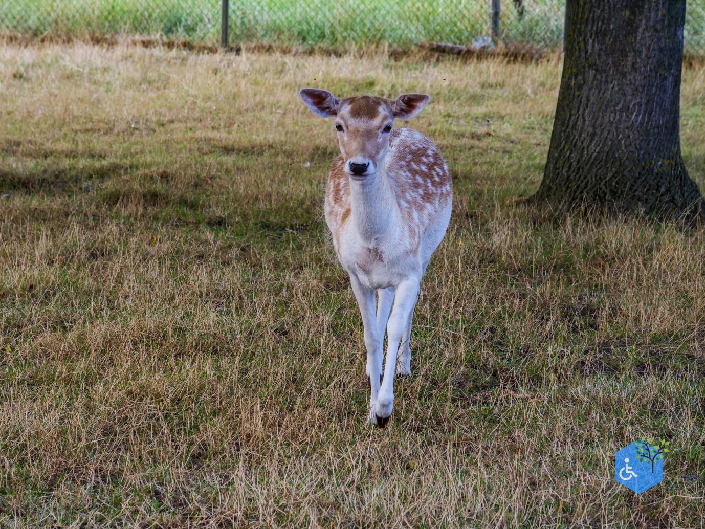 Stevensweert_Park_Meerse_Kamp_21-08-2026-18