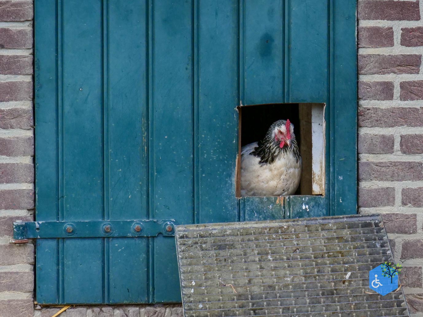 Stevensweert_Park_Meerse_Kamp_21-08-2026-24