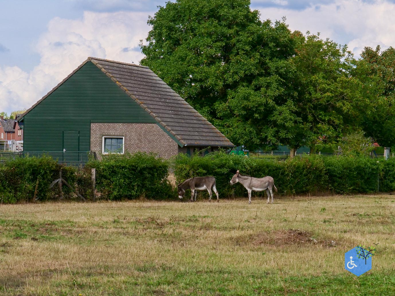 Stevensweert_Park_Meerse_Kamp_21-08-2026-27