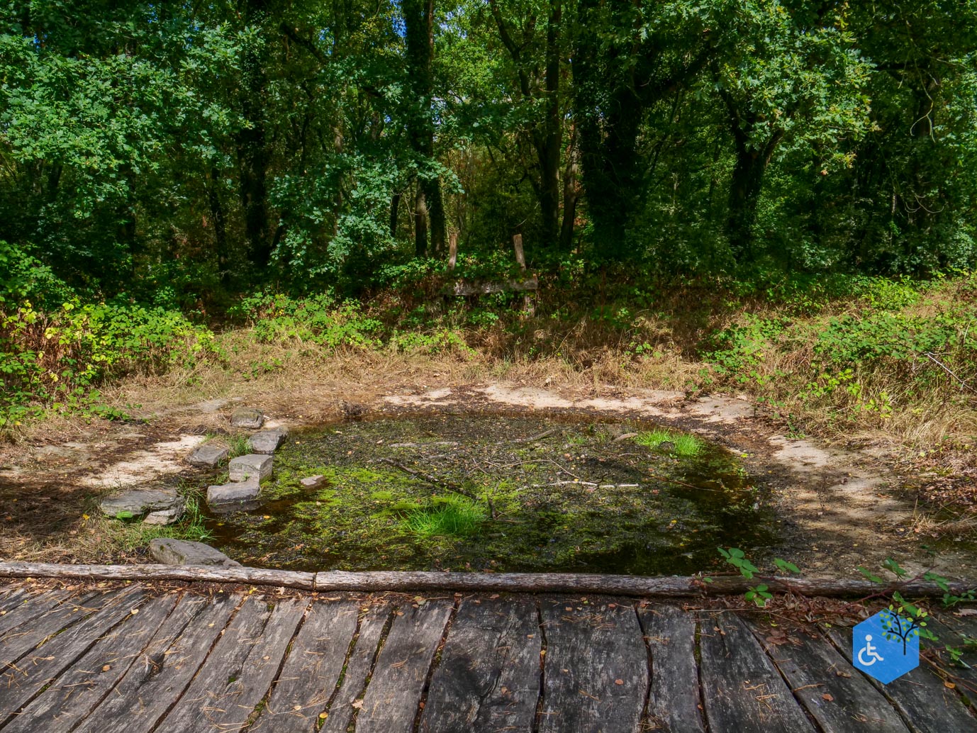 Heerlen_Beleefpad_Brunssummerheide_22-08-2026-07