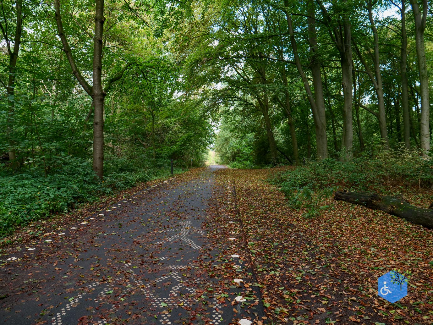 Heerlen_Beleefpad_Brunssummerheide_22-08-2026-15