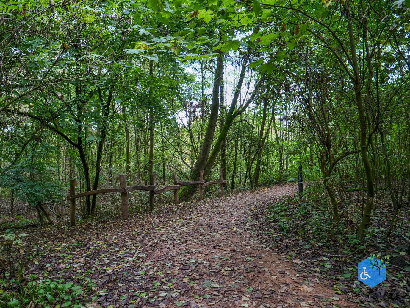 Heerlen_Beleefpad_Brunssummerheide_22-08-2026-18