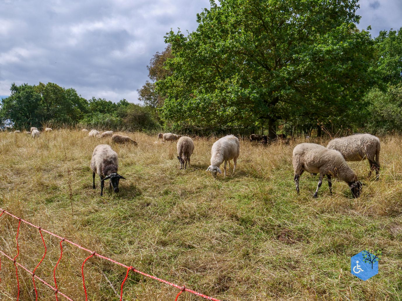 Heerlen_Beleefpad_Brunssummerheide_22-08-2026-32