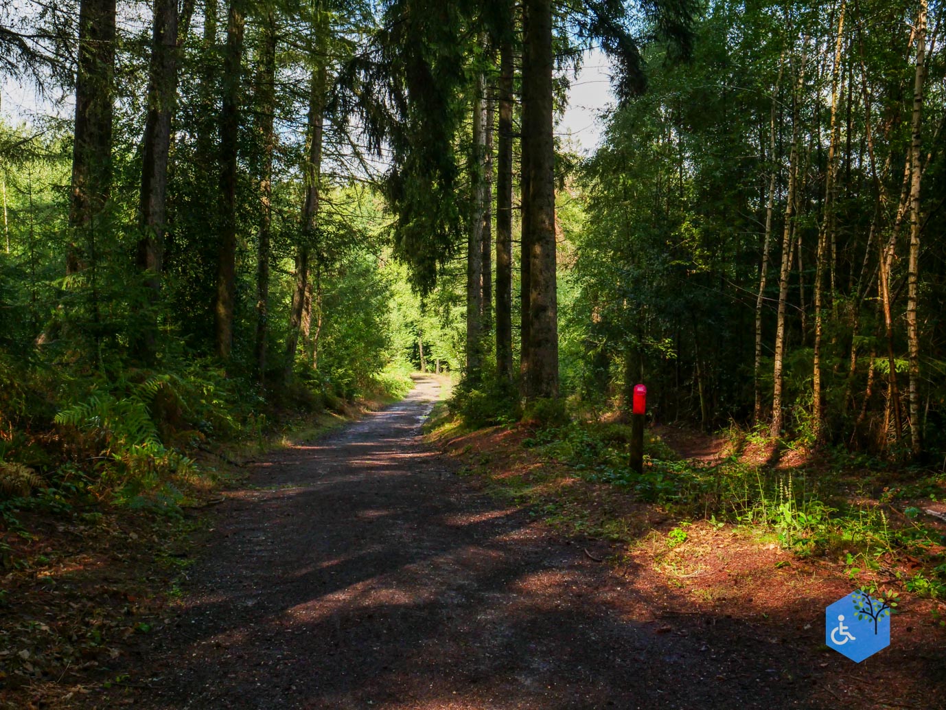 Vijlen_Wandelroute_Malensbos_22-08-2026-23