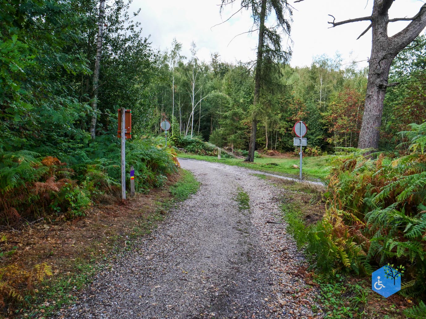 Vijlen_Wandelroute_Malensbos_22-08-2026-25