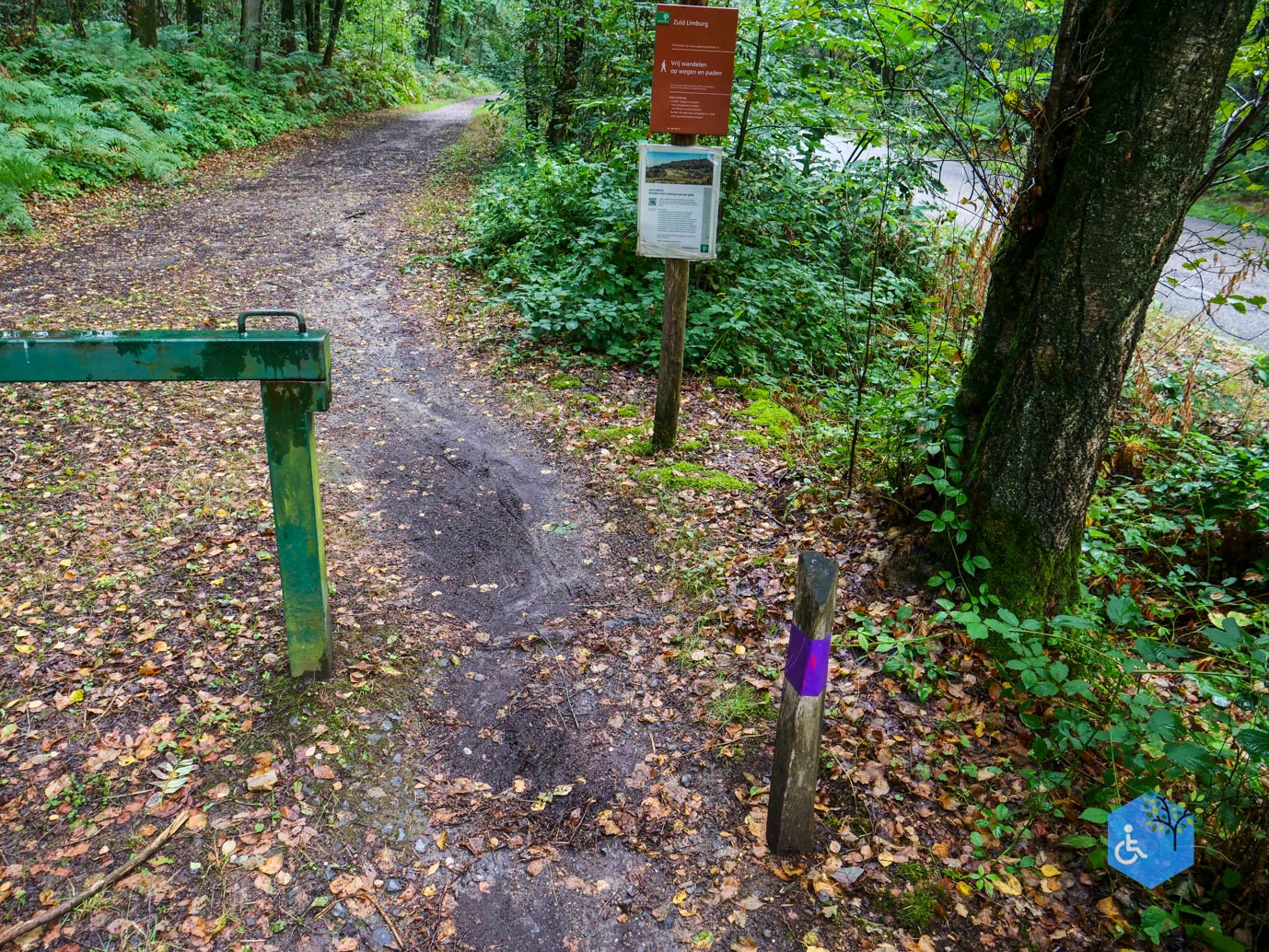 Vijlen_Wandelroute_Malensbos_22-08-2026-27
