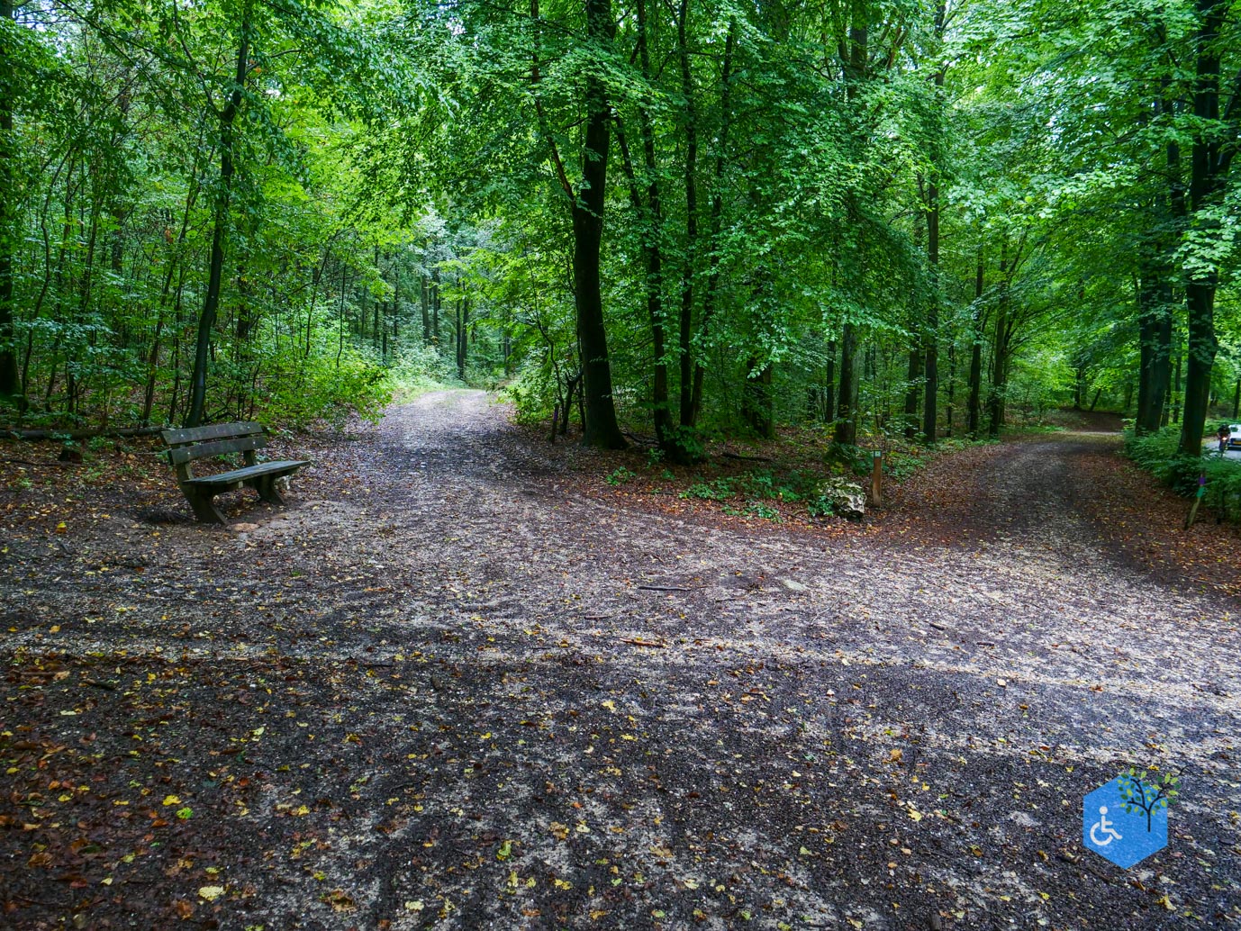 Vijlen_Wandelroute_Malensbos_22-08-2026-29