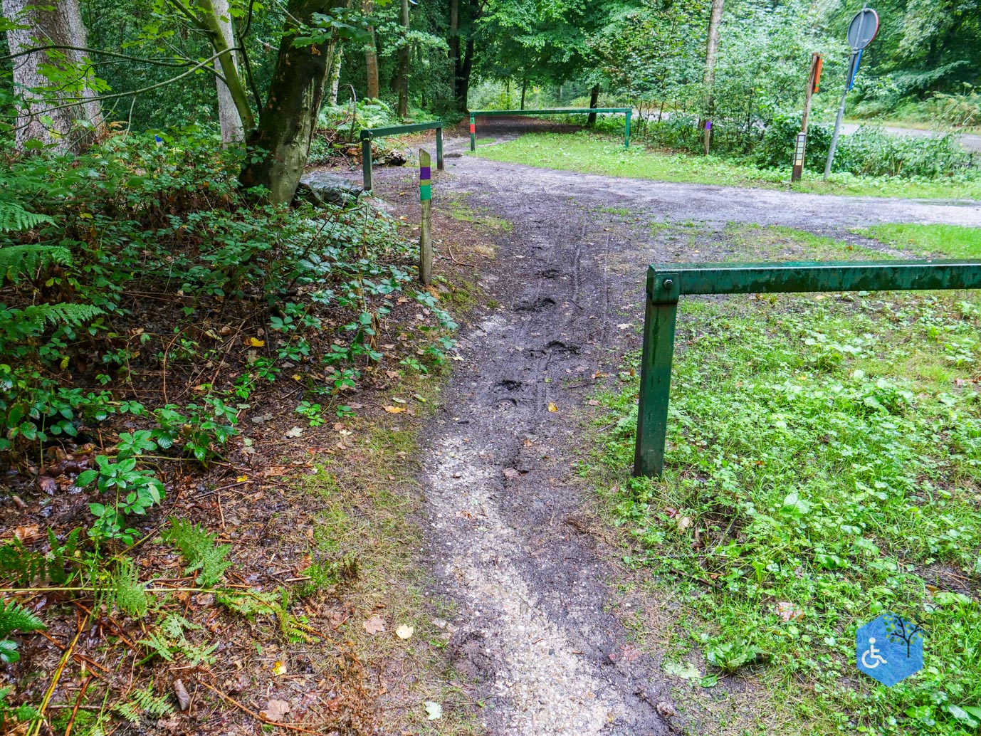 Vijlen_Wandelroute_Malensbos_22-08-2026-32