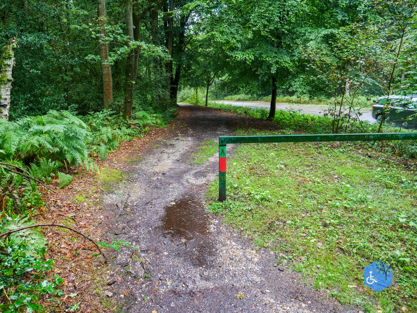 Vijlen_Wandelroute_Malensbos_22-08-2026-33